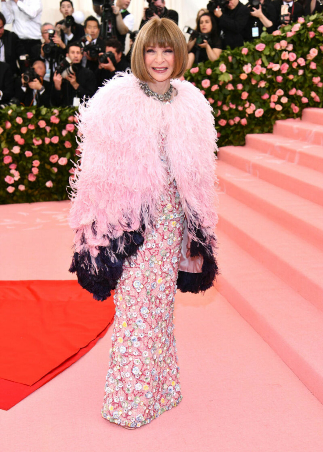 Anna Wintour. Anna Wintour på röda mattan