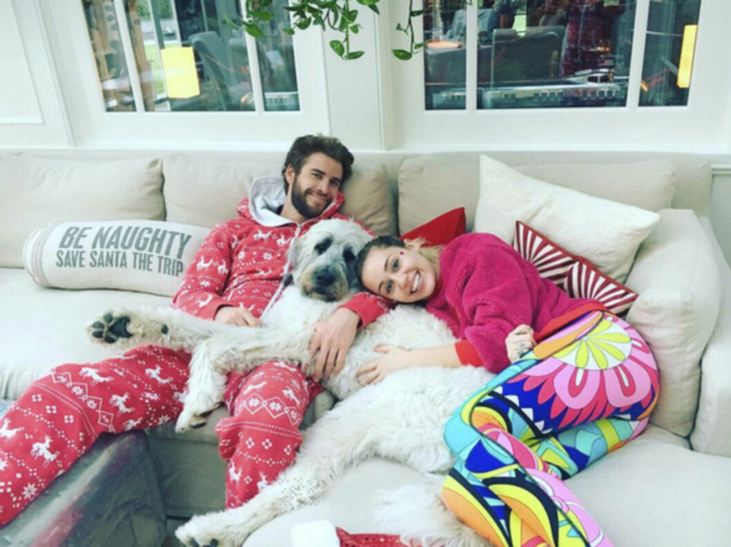 Idag bor Miley och Liam tillsammans med sju hundar, två grisar och två miniatyrhästar.