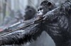 War for the Planet of the Apes kommer till Viaplay i maj. Foto: Viaplay