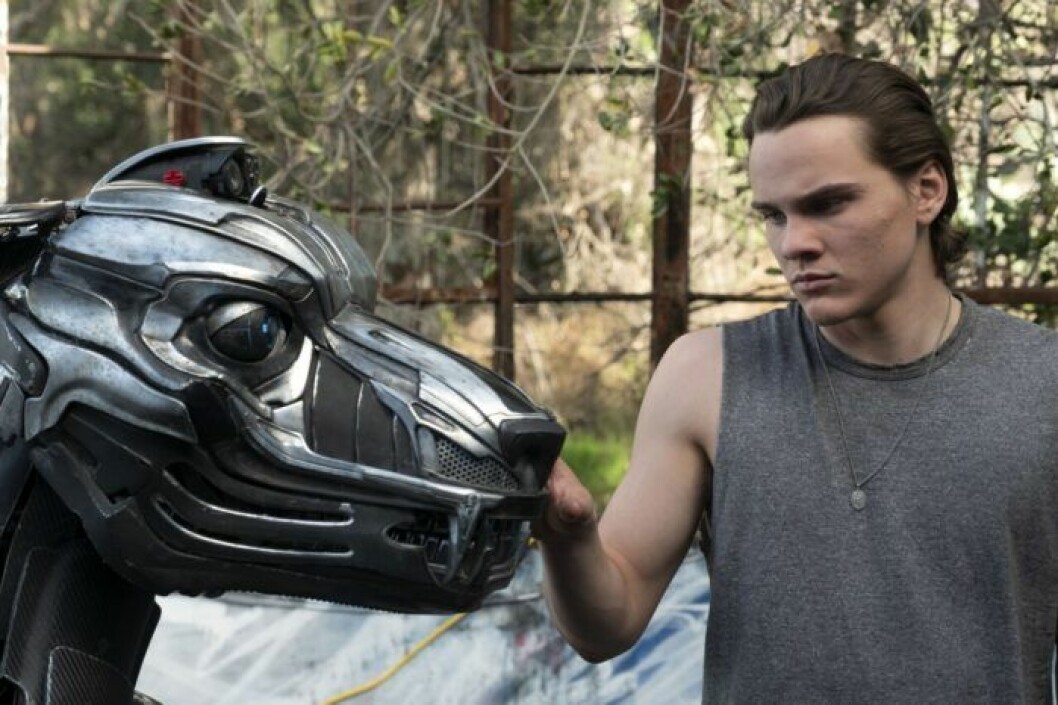 <em>A-X-L</em> har premiär på Viaplay den 3 september. En bild ur filmen A-X-L, som har premiär på Viaplay den 3 september.