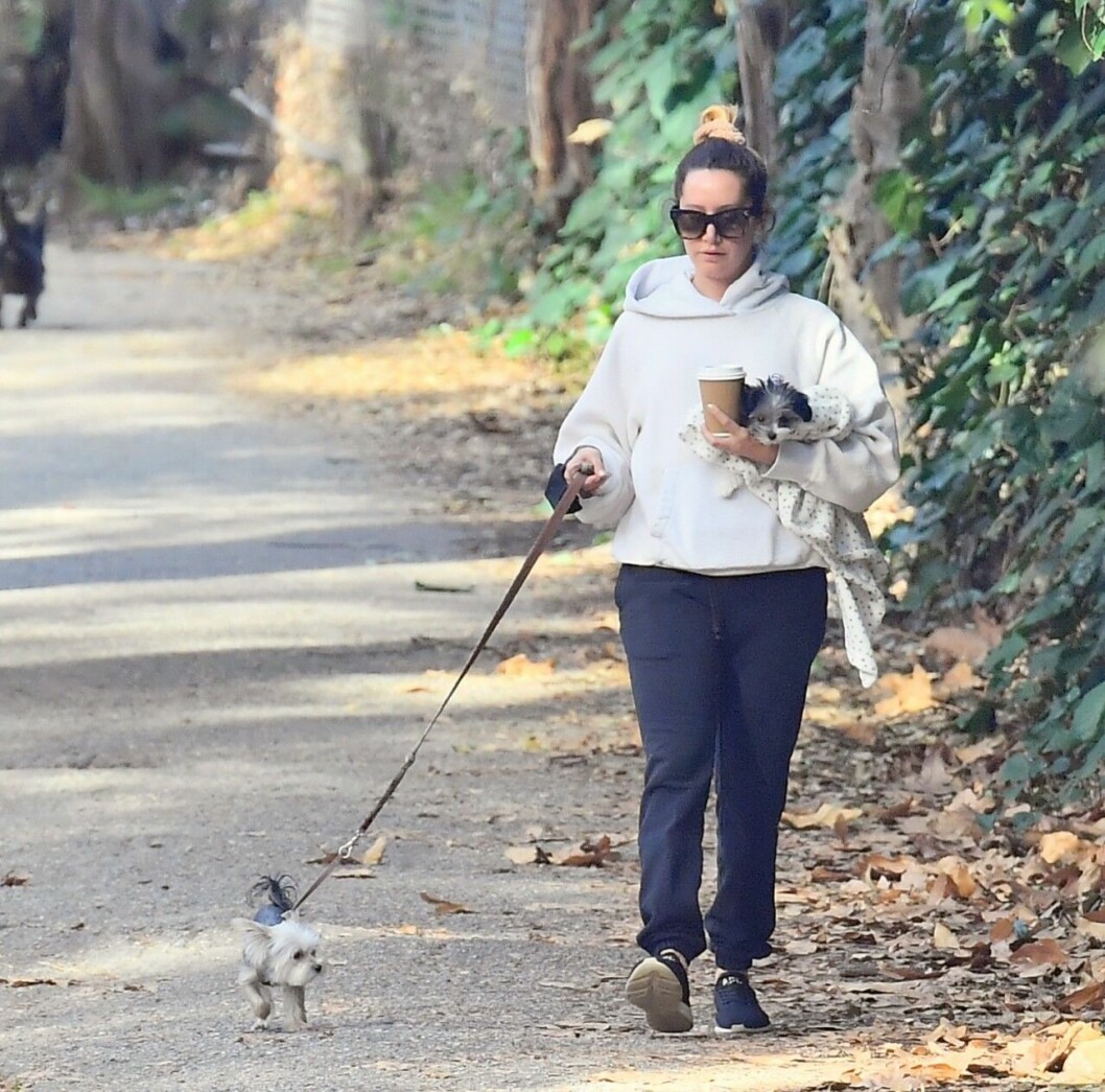 Ashley Tisdale med hundarna Ziggy och Sushi Sue. Ashley Tisdale med hundarna Ziggy och Sushi Sue
