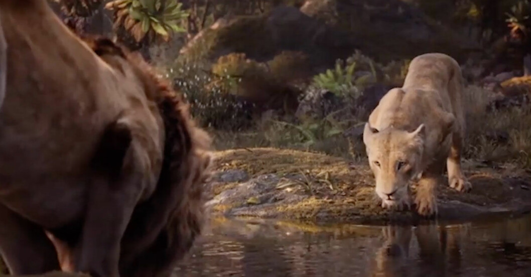 Beyoncé är rösten till Nala. Beyonce i Lejonkungen