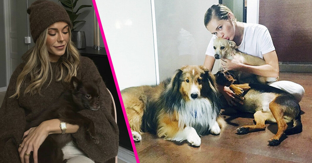 Bianca Ingrosso och Miley Cyrus med husdjur