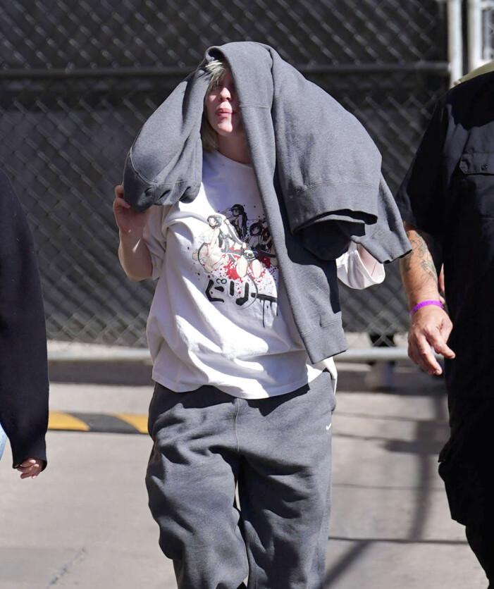 Länge försökte Billie Eilish gömma sig bakom sina kläder. billie eilish gömmer sig