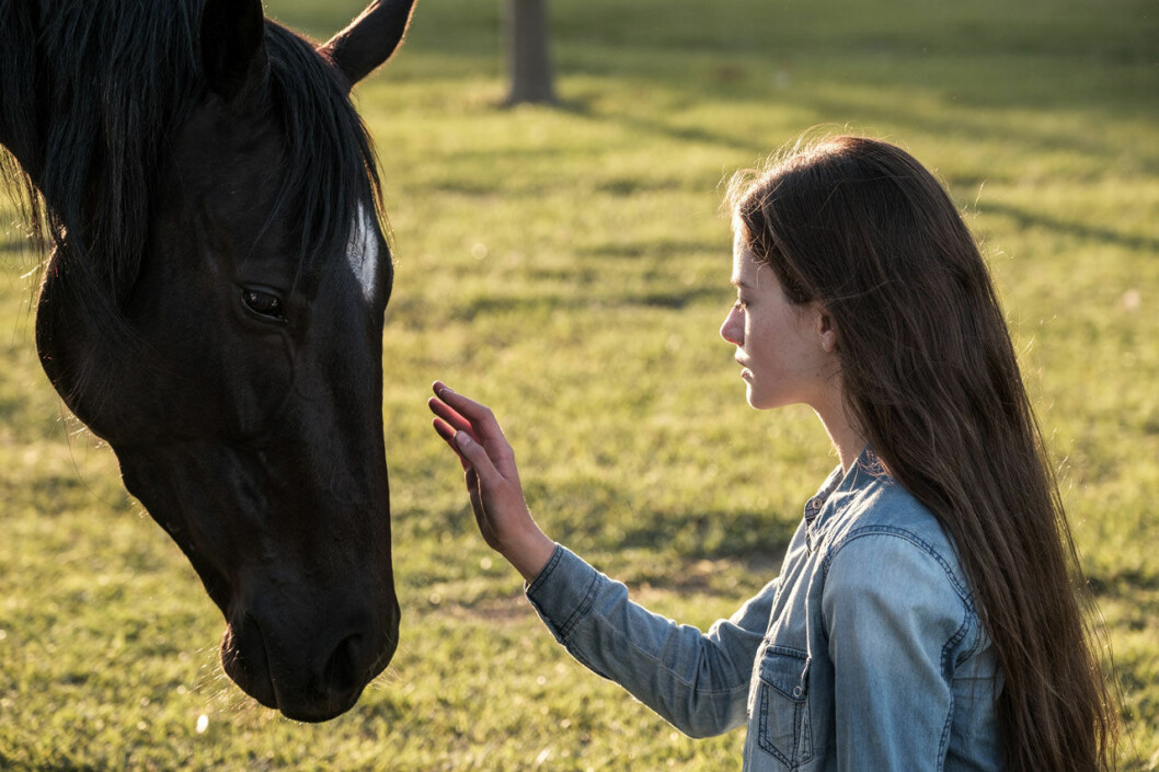 Bild från filmen Black Beauty