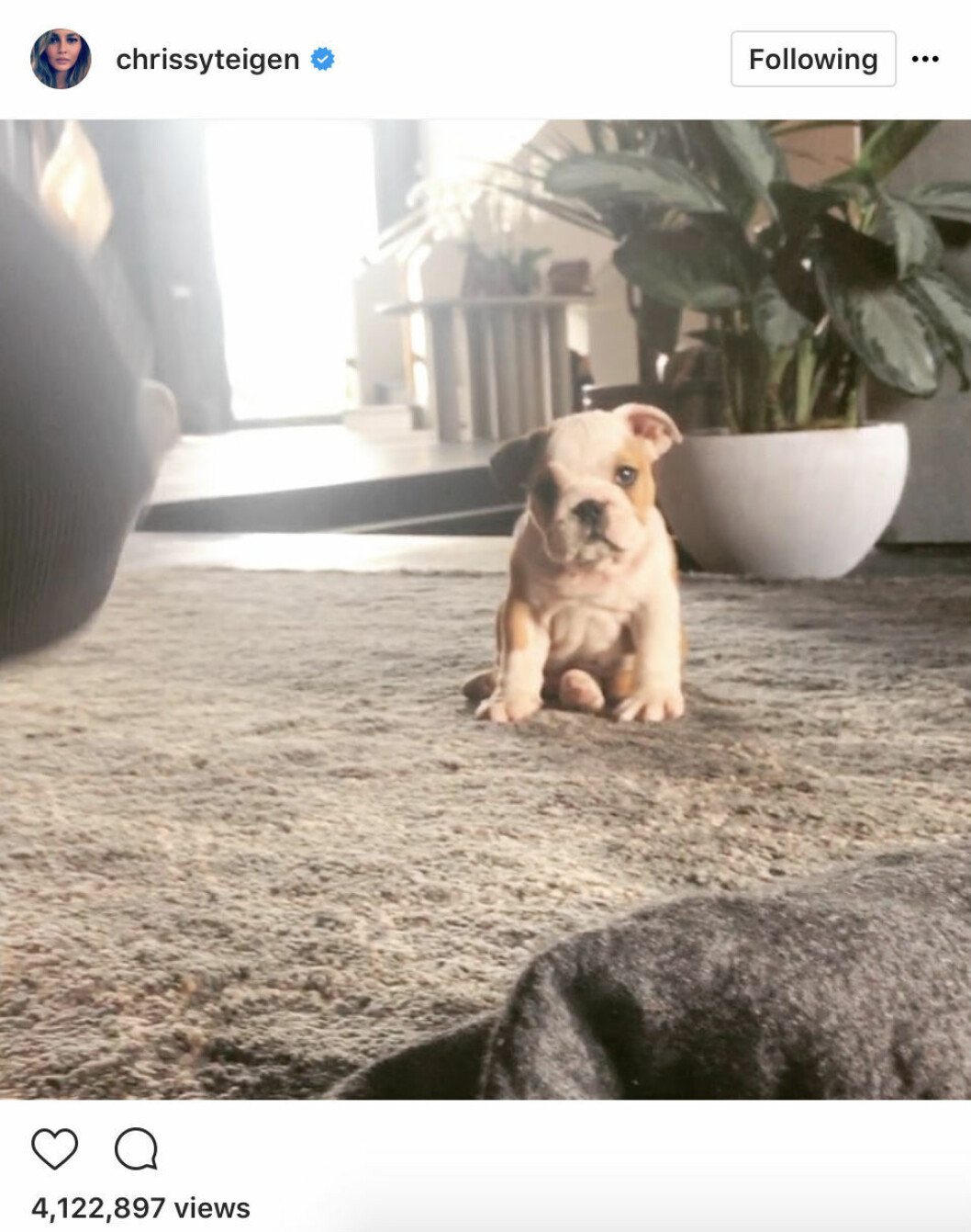 Chrissy-Teigen-and-John-Legend-family-pepper