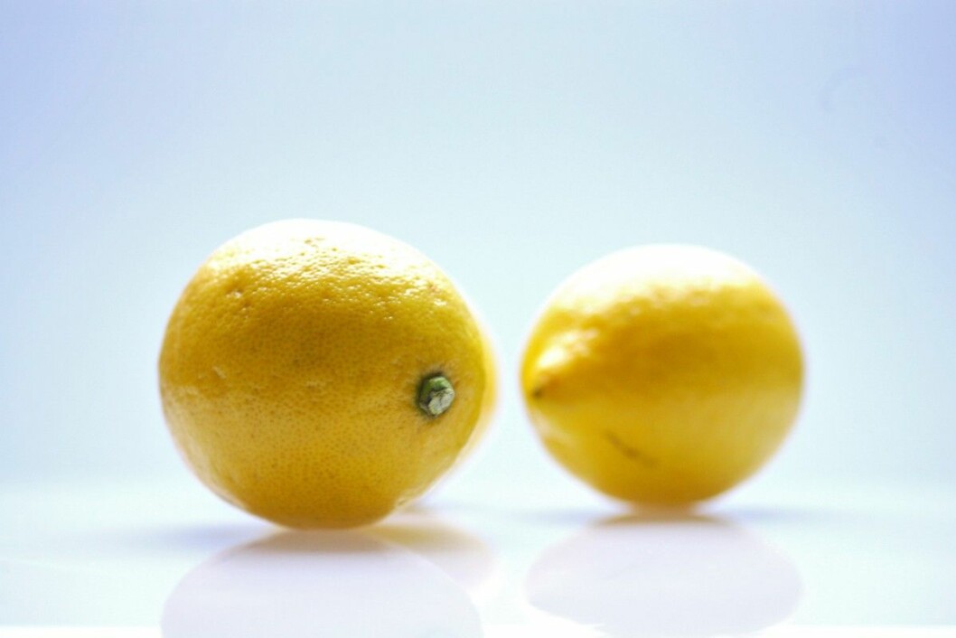 citrus fruit