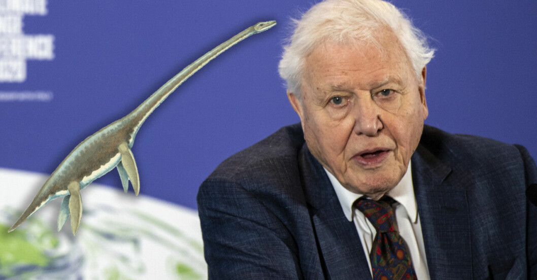 David Attenborough