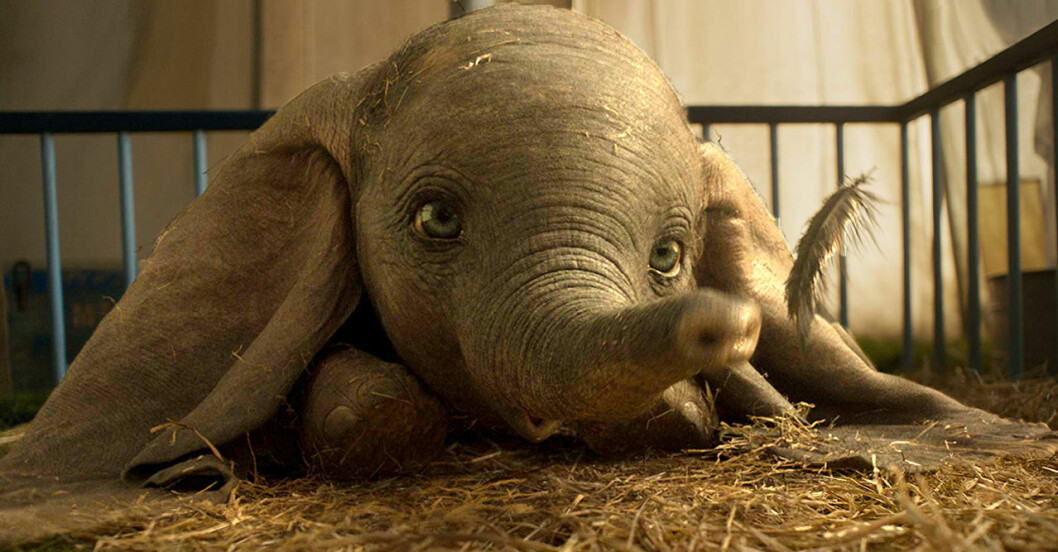 Elefanten Dumbo med sin fjäder.