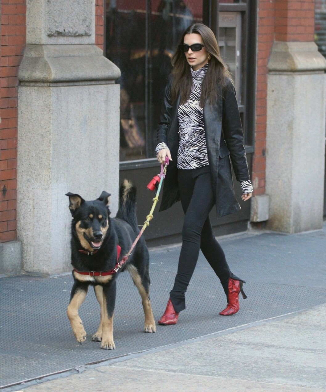 Emily Ratajkowski med sin hund Colombo. Emily Ratajkowski med sin hund Colombo
