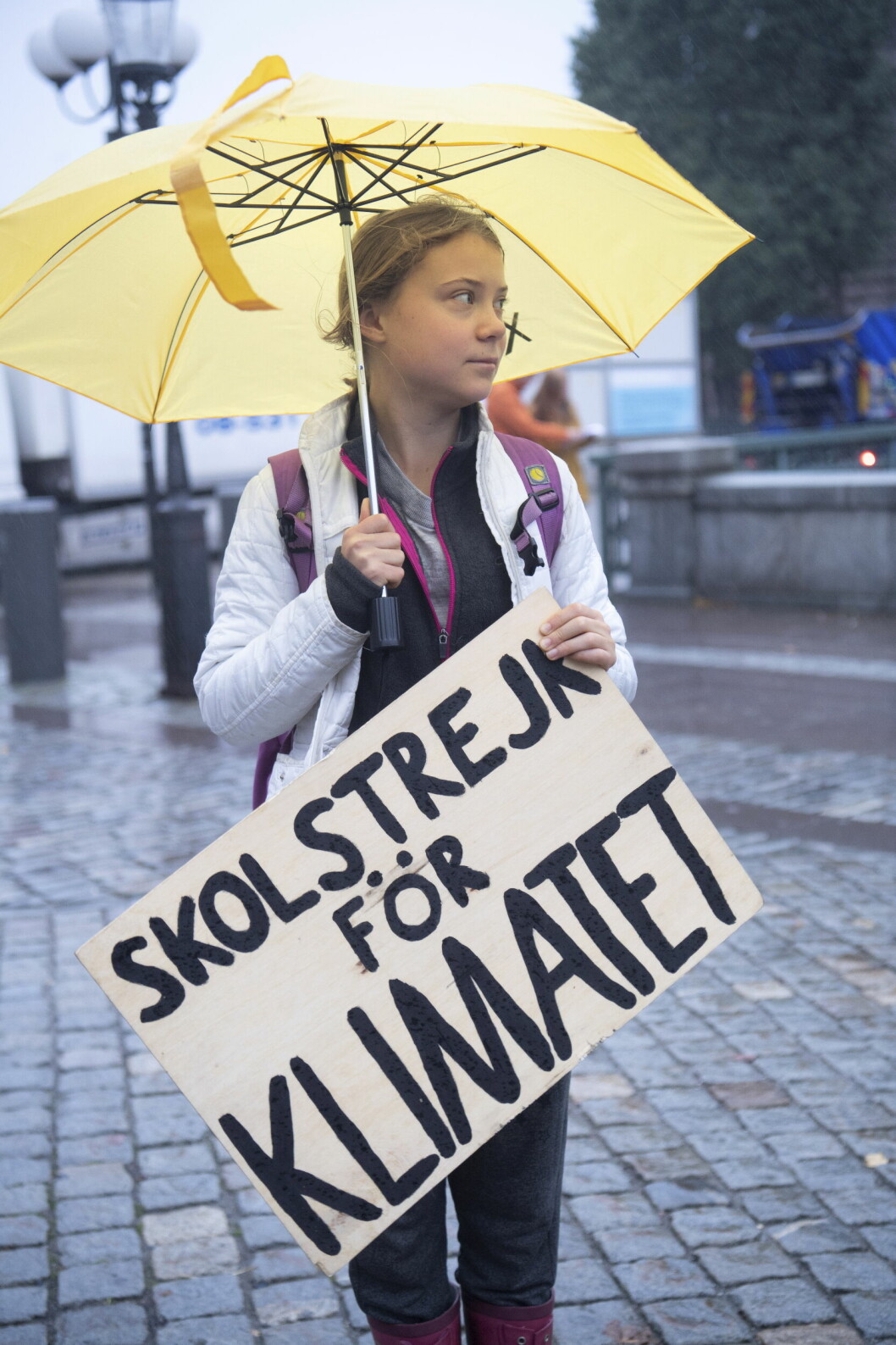 Greta Thunbergs handmålade skylt ”Skolstrejk för klimatet” har blivit klassisk. greta thunberg skolstrejkar med sin skylt