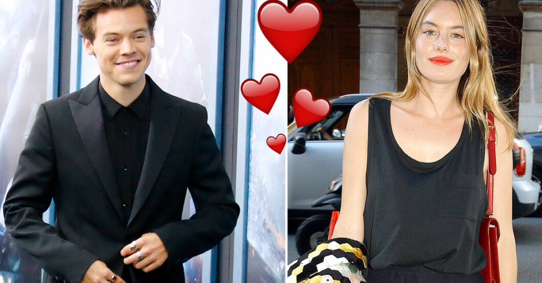 Harry-Styles-Camille-Rowe