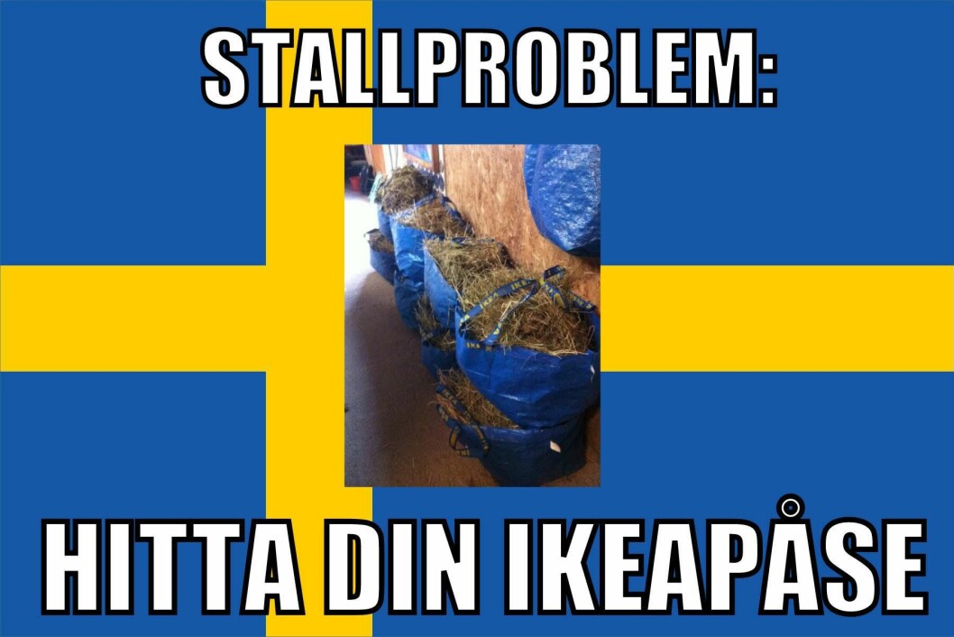 hästmänniska