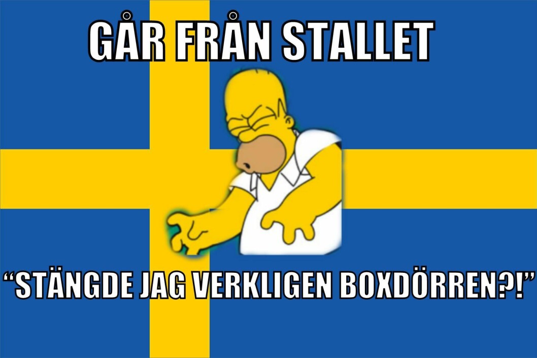 hästmänniska