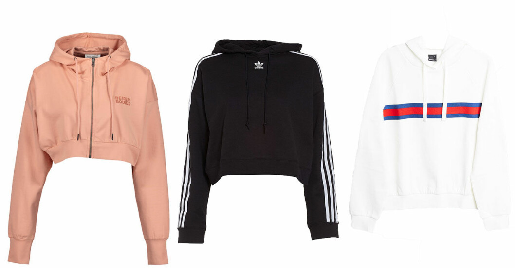 hoodies-host-2018