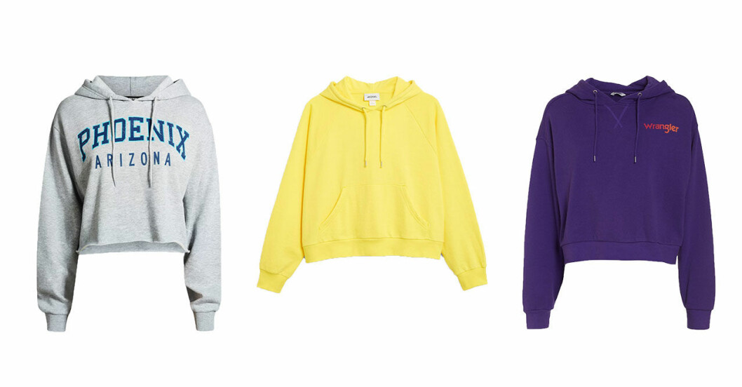 hoodies-host-2018-2