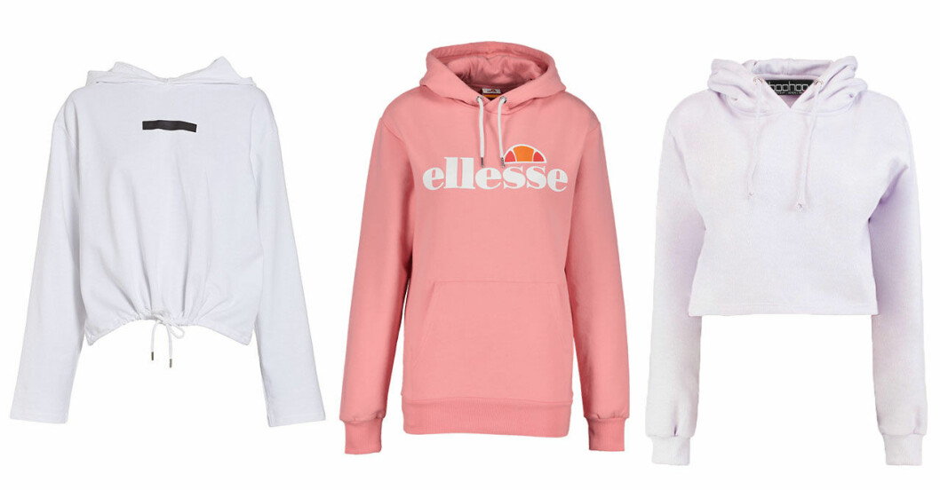 hoodies-host-2018-3