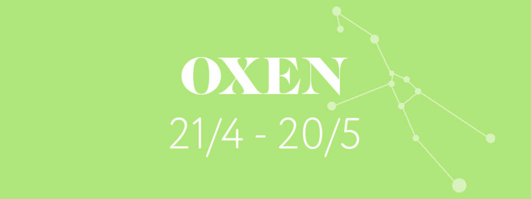 horoskop-vecka-5-2019-OXEN
