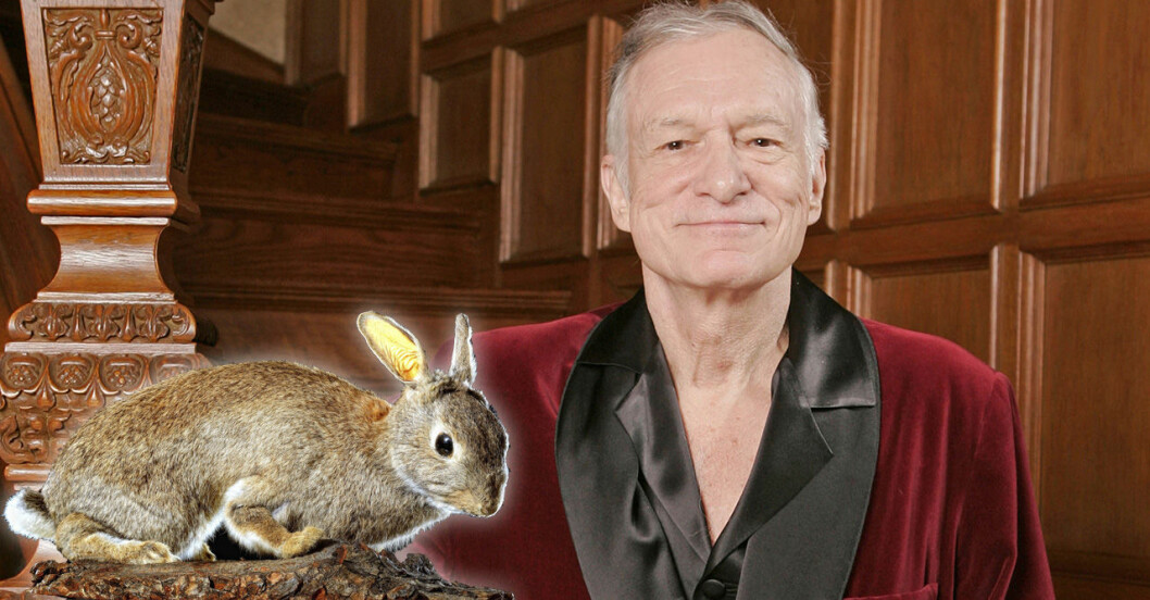 hugh hefner