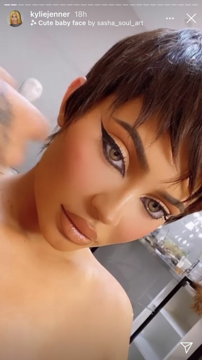 Skärmdump från Kylie Jenners Instagram Story.