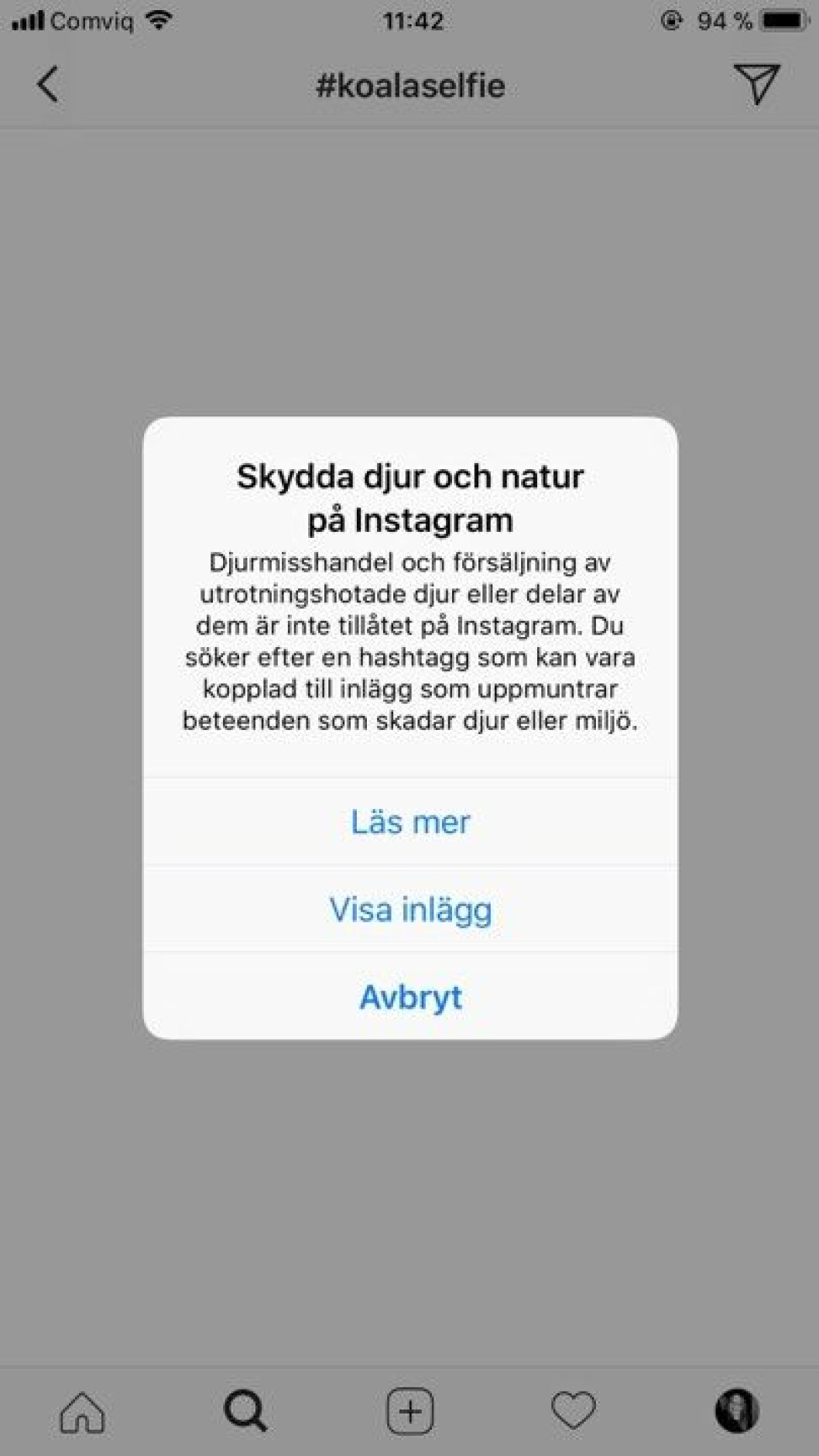 instagram 2