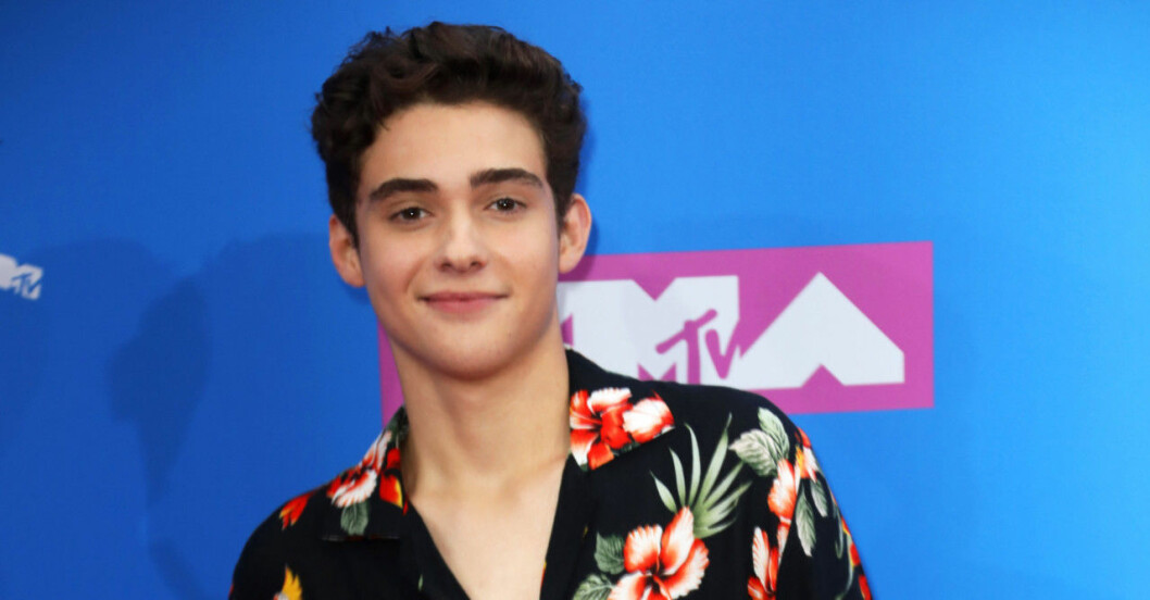 Joshua Bassett ska spela Ricky i serien. En ny version av Troy Bolton. Joshua-Bassett