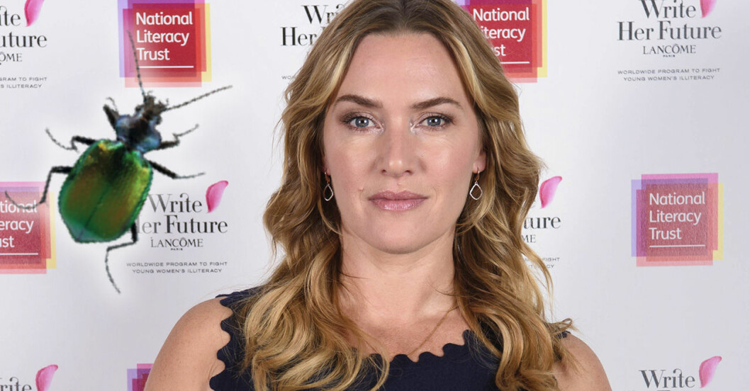 kate winslet