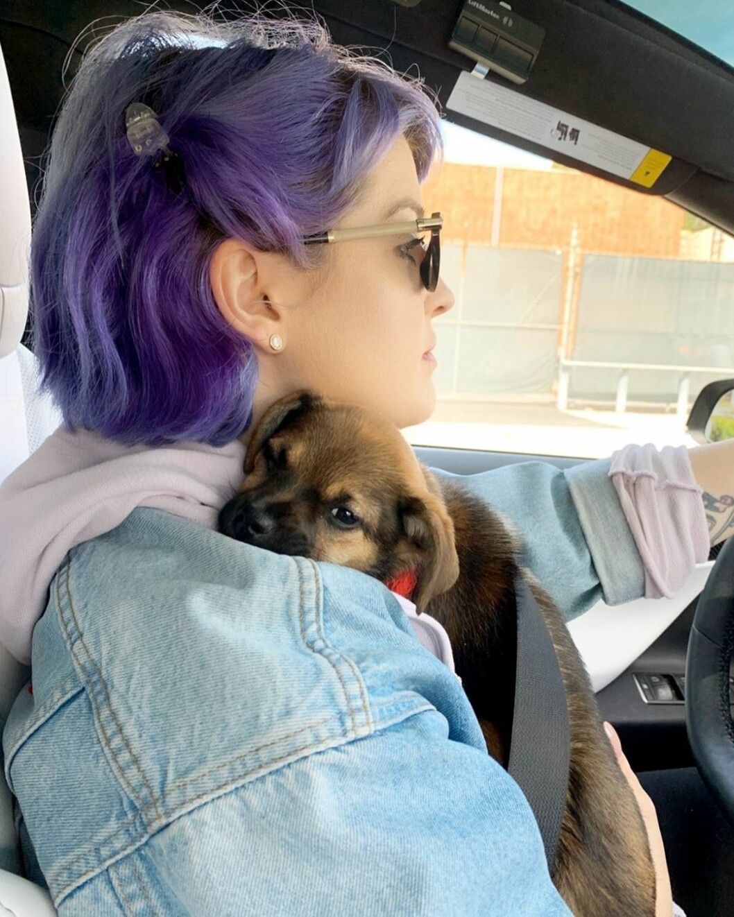 Kelly Osbourne och Oat myser ihop. kelly osbourne med hund