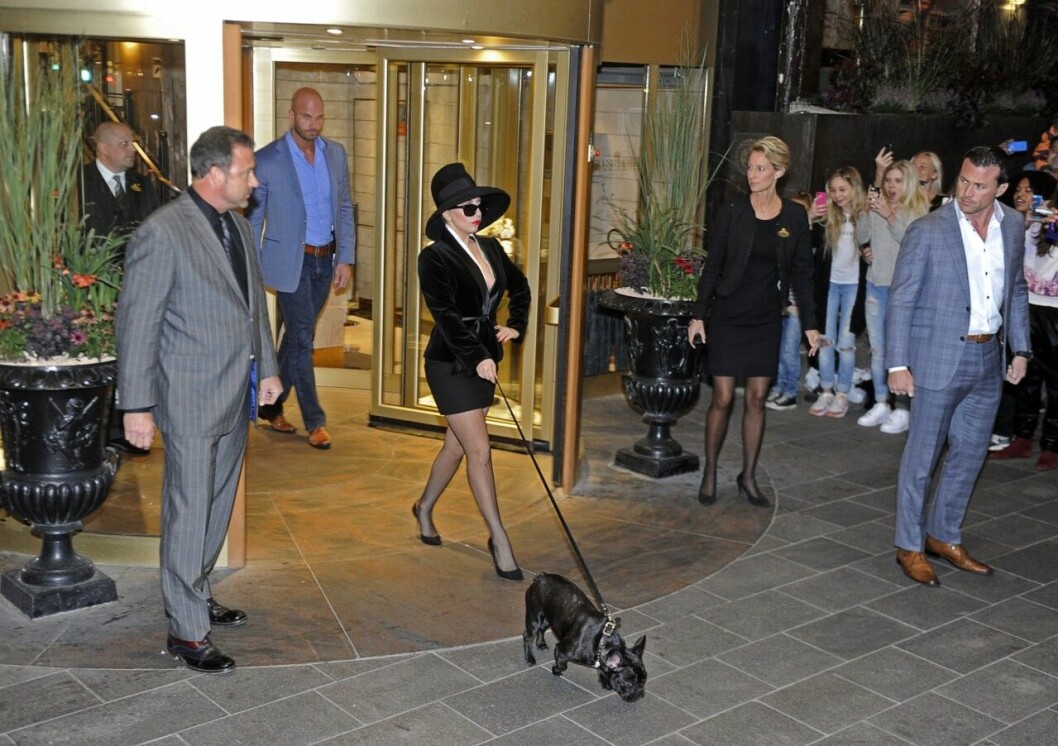 Lady Gaga med sin franska bulldog Asia. Lady Gaga med sin franska bulldog Asia