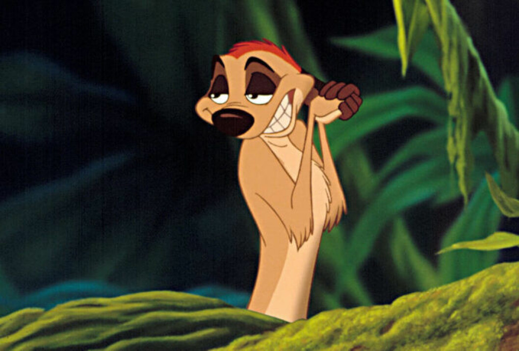 Timon