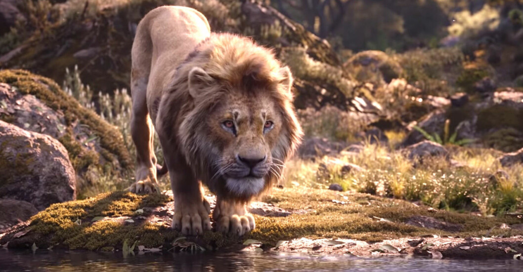 Den officiella trailern till Lejonkungen är späckad av nostalgi