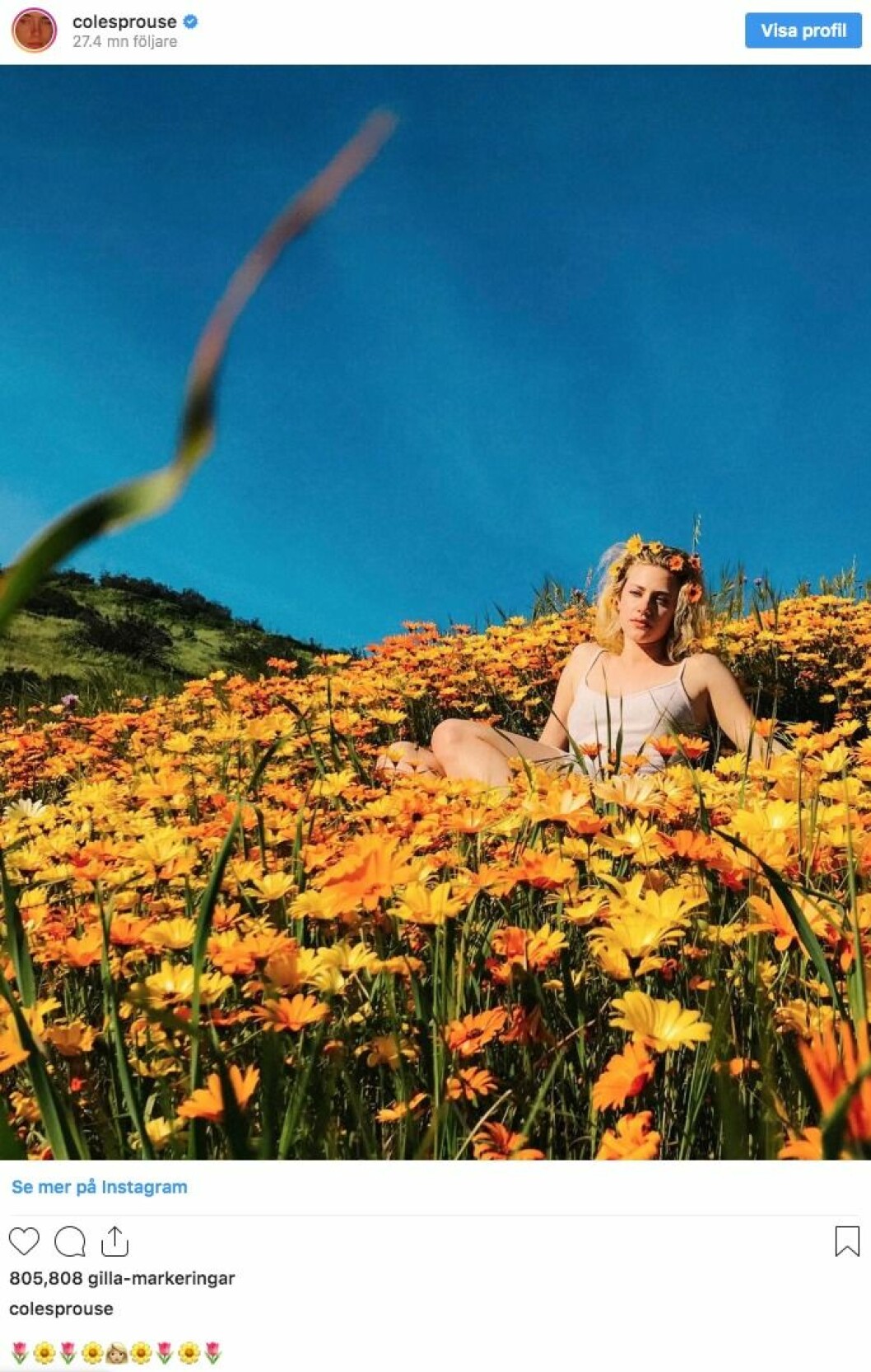 Lili Reinhart