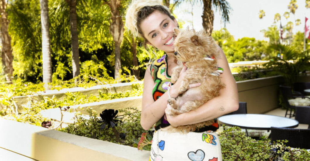 Miley Cyrus om att vara pansexuell:  “Jag har aldrig förstått mitt eget kön”