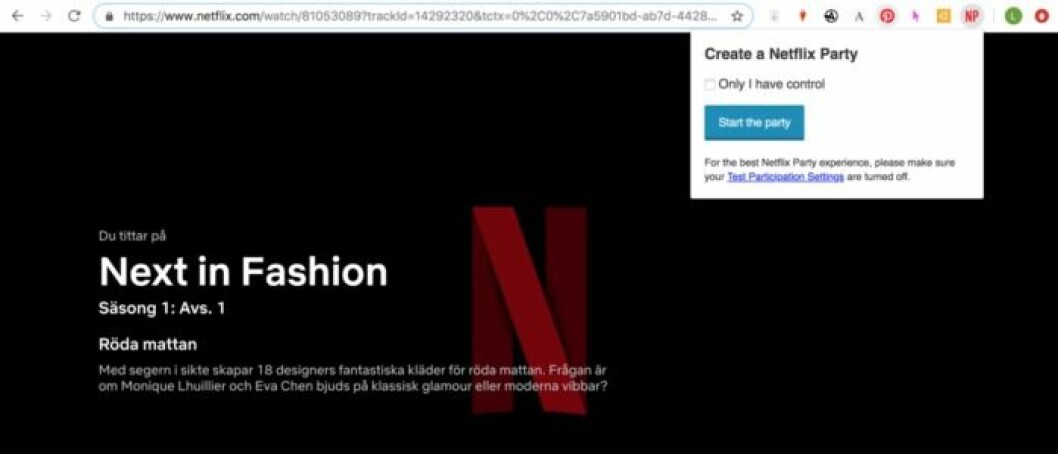 Netflix_party_screen