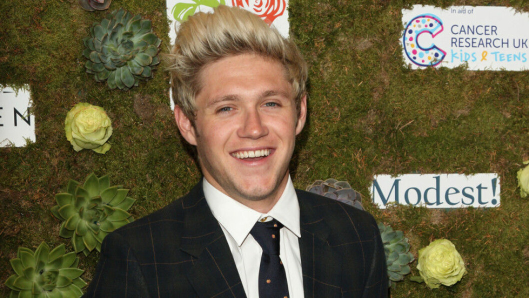 niall horan fotboll