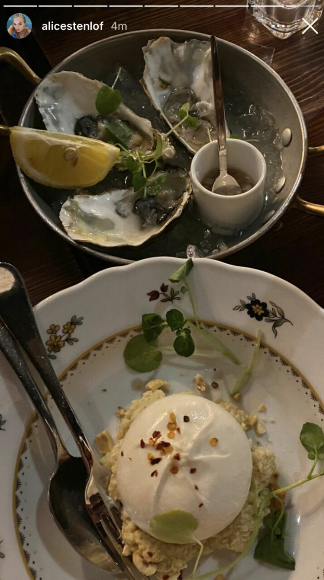 alice bild på ostron