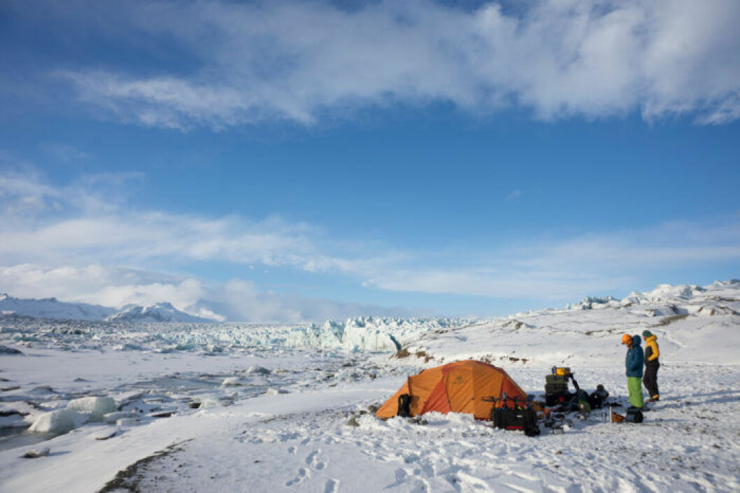 <em>Our Planet </em>är en naturserie av David Attenborough. Foto: Darren Williams/Silverback/Netflix Our planet har premiär på Netflix i april