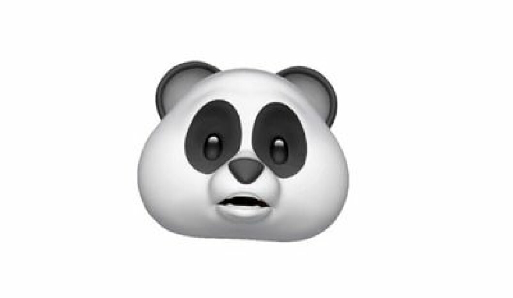 panda