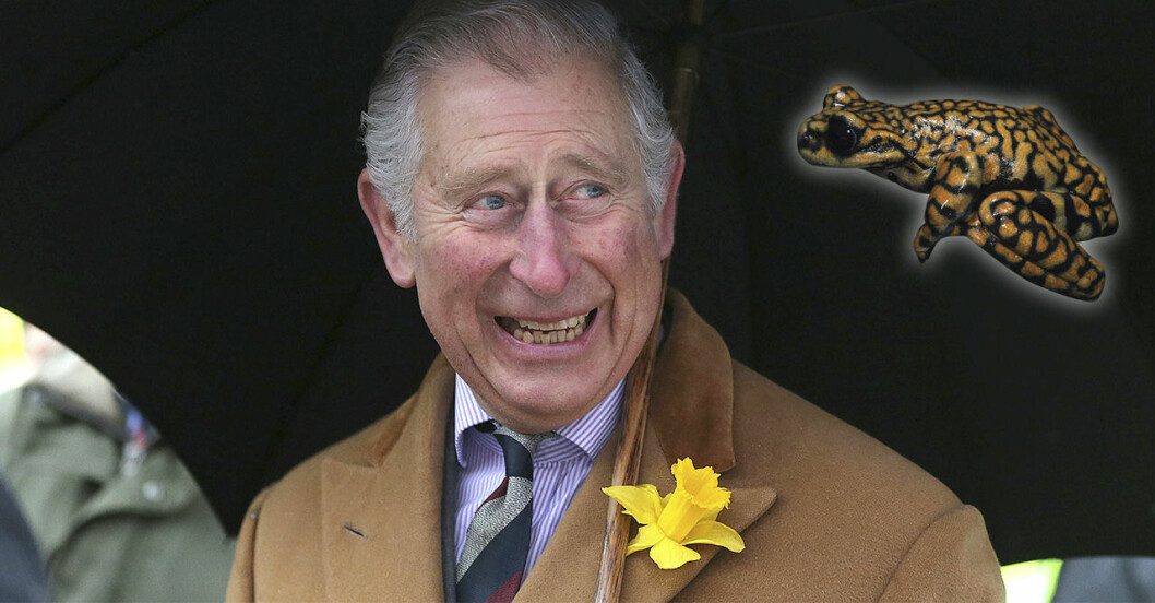 prins charles