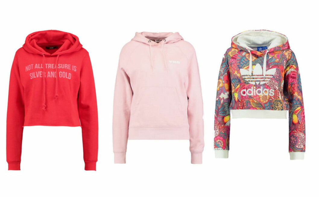 rosa-hoodie-2017