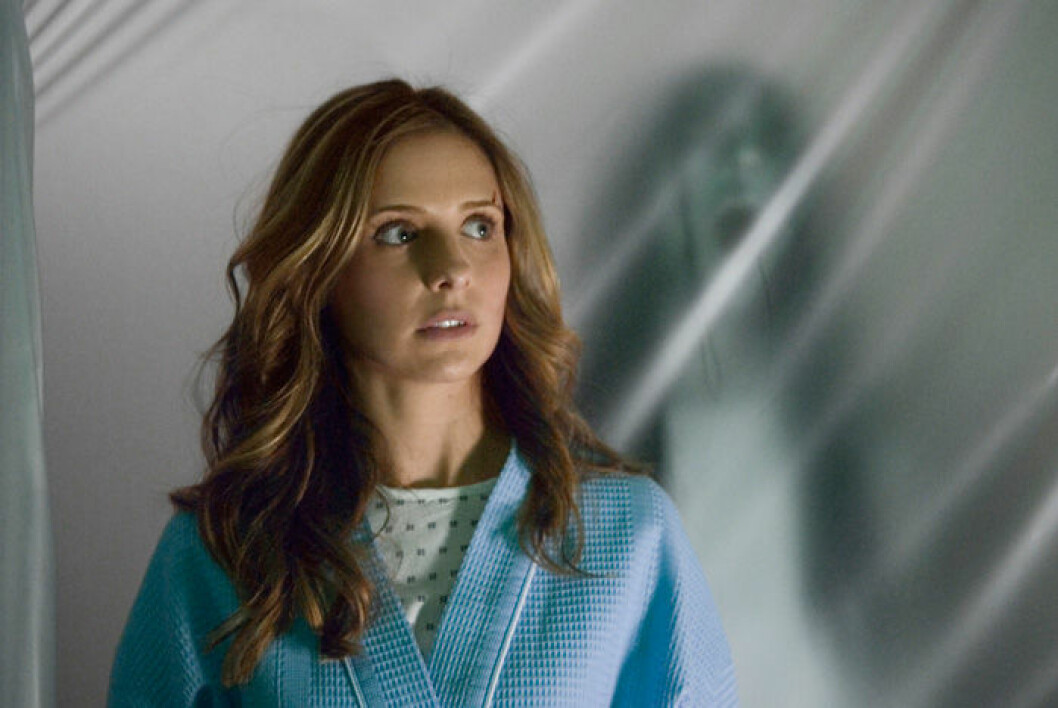 Den amerikanska versionen av <em>The Grudge</em>, med Sarah Michelle Gellar i huvudrollen, blev en världssuccé.