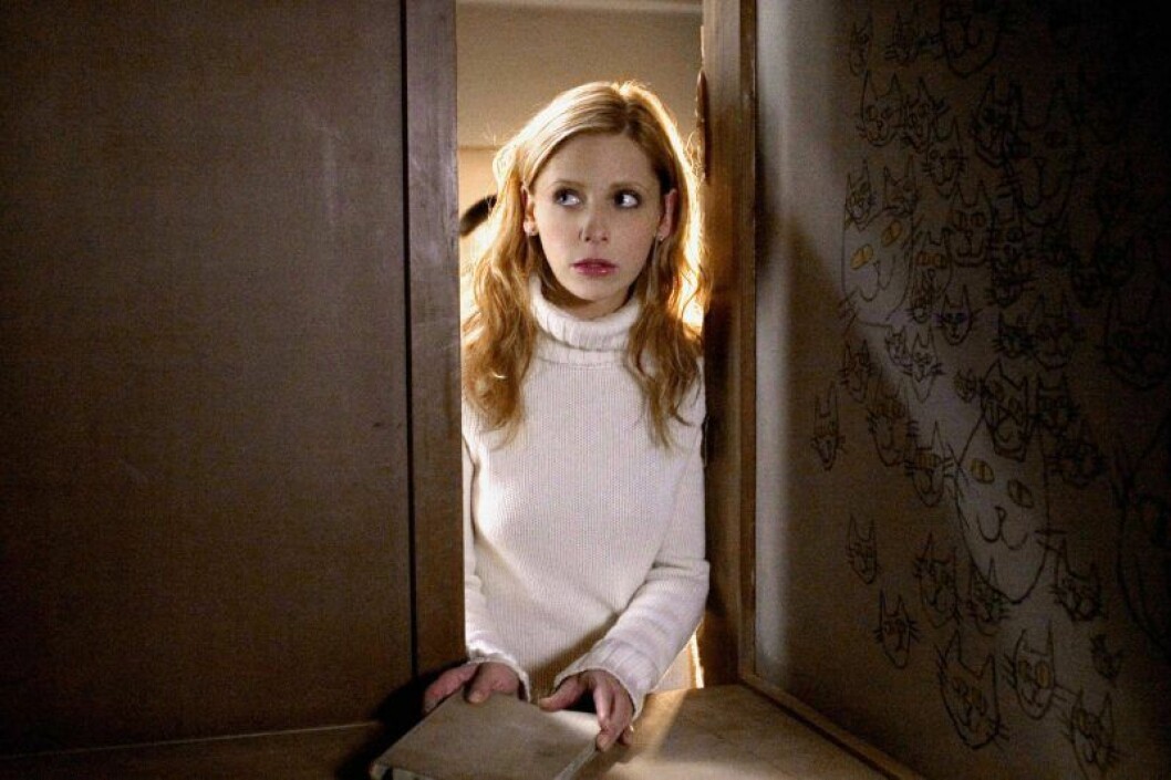 Sarah Michelle Gellar spelar sjuksköterskan Karen Davis i <em>The Grudge</em> (2004). En bild på Sarah Michelle Gellar, som spelar sjuksköterskan Karen Davis i The Grudge (2004).