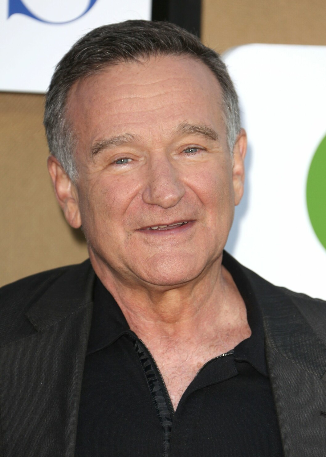 Robin Williams hade kunnat spela Hagrid