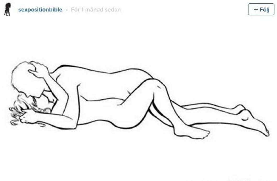 sex 2