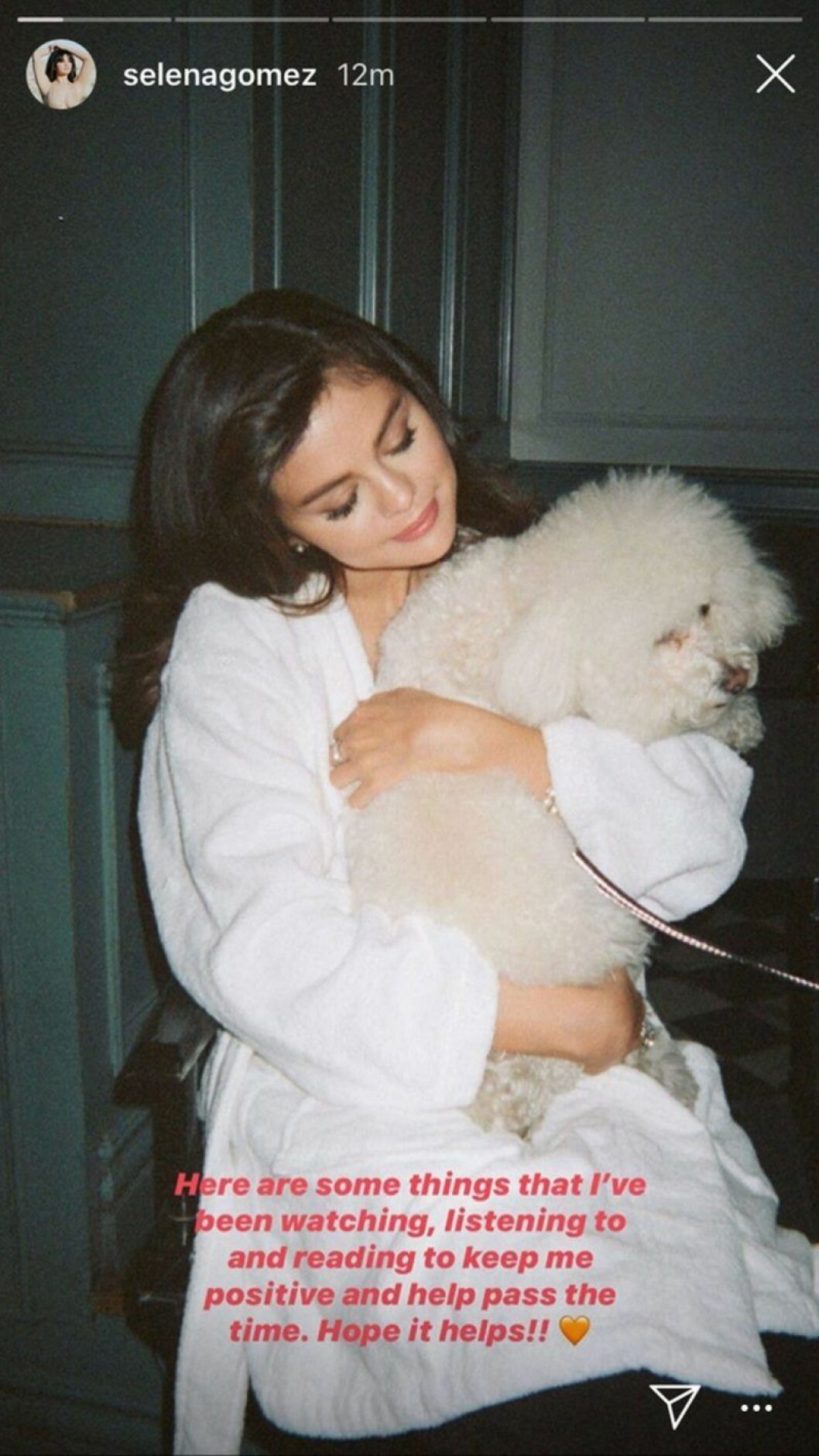 Fint initiativ av Selena Gomez.<em> Foto: Skärmdump från Instagram Story</em> Skärmdump från Selena Gomez Instagram
