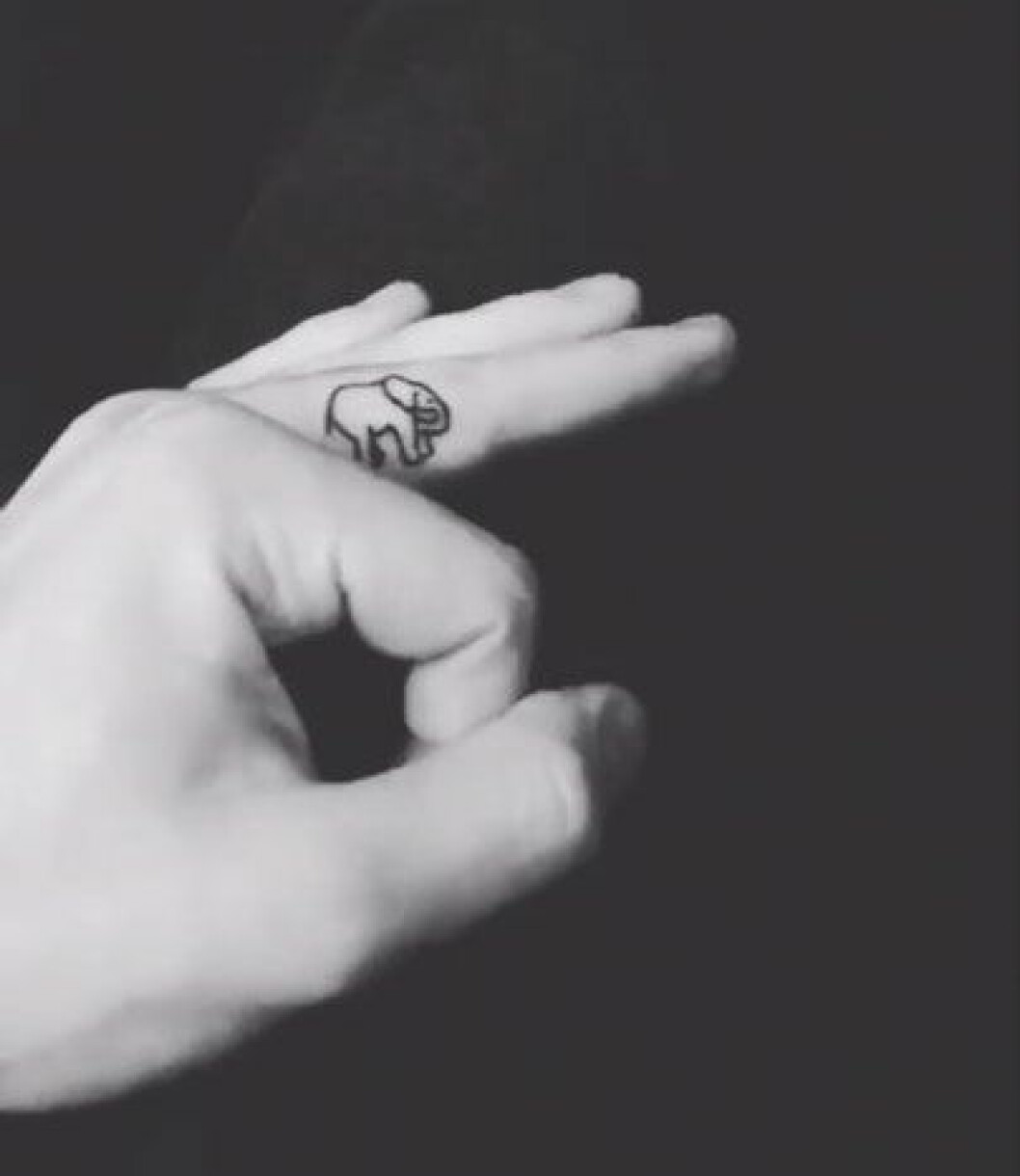 Shawn-Mendes-elefant-tatuering