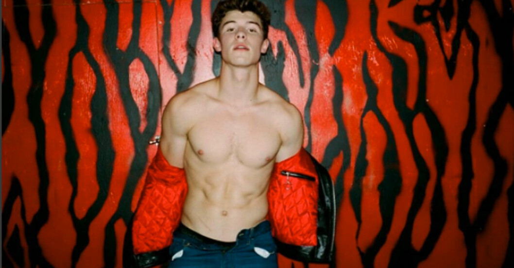 Shawn-Mendes-flaunt-magasin