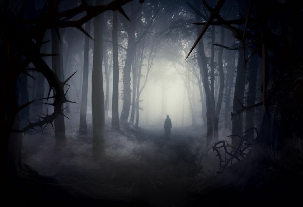 Vilka faror som lurar i skogen återstår att se… Bild från Skogen, årets Halloweennyhet 2019 på Liseberg