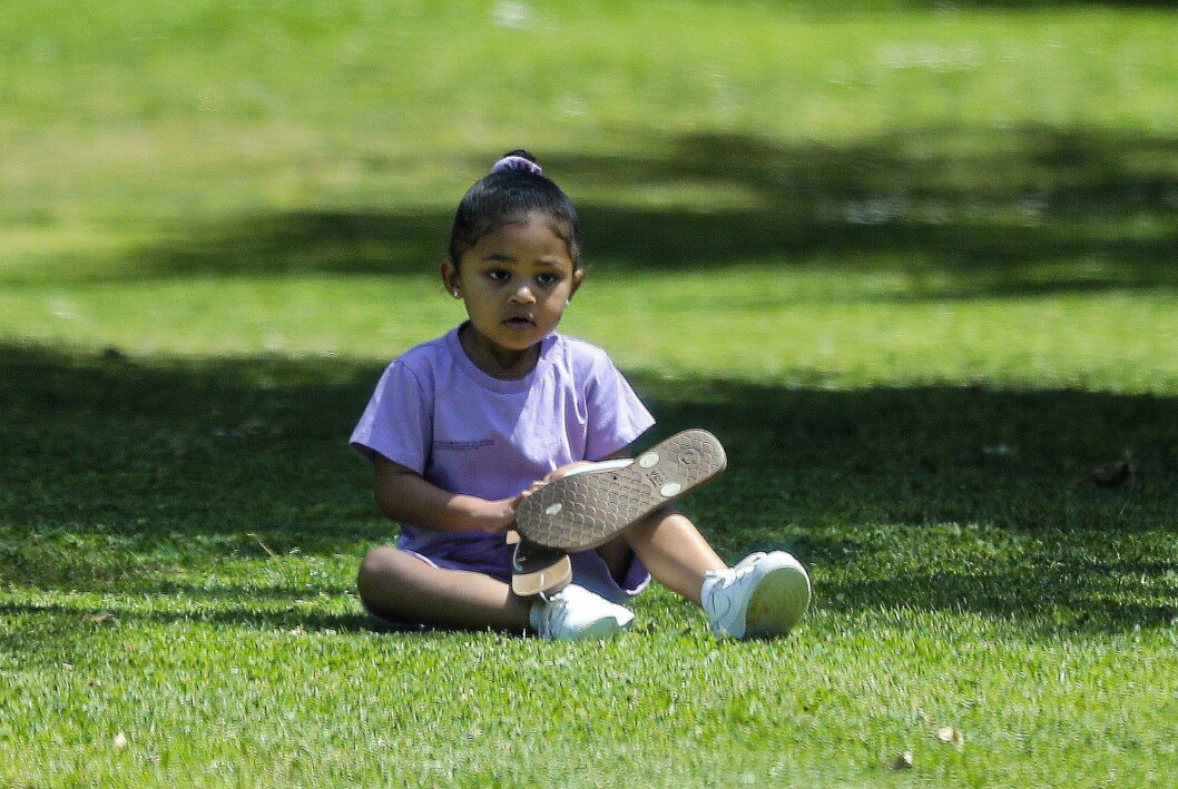 stormi webster