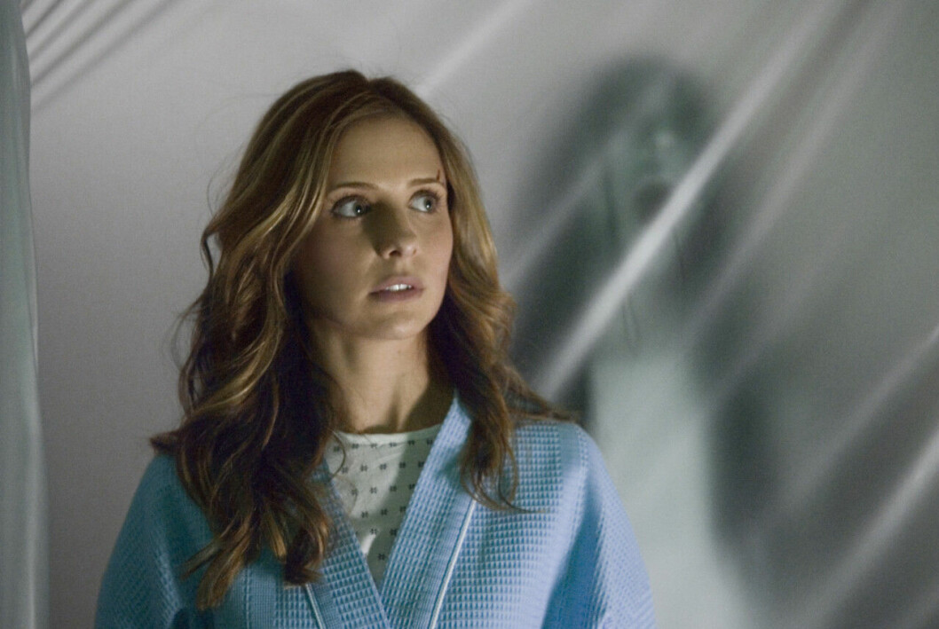 Minns du <em>The Grudge</em> med Sarah Michelle Gellar? Nu kommer en ny film i serien! En bild på Sarah Michelle Gellar i skräckfilmen The Grudge.
